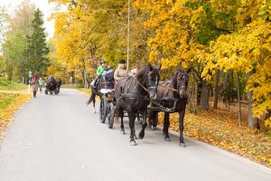 Dobeles novads pievilcīgs pastaigu tīkotājiem arī rudenī - Foto