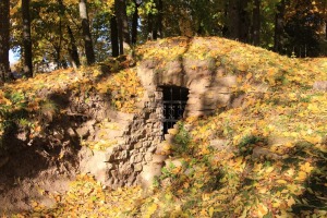 Aizkraukles novads: Zelta rudens Kokneses parkā - Foto