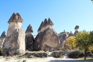 Sadarbībā ar «Turkish Airlines» iepazīstam Kapadokijas ēdamlietas tirgus apstākļos - Foto