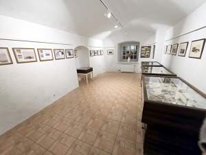 26
