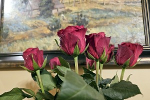 Latvijas Piļu un muižu asociācija svin 25 gadu jubileju Mālpils muižā - Foto