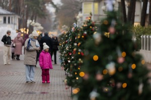Jūrmala ir izgreznota Ziemassvētkiem – Jomas ielā iedegta galvenā pilsētas egle - Foto