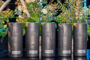 Daži ieskati Latgales Tūrisma konferencē 2025, kas notiek Latgales vēstniecība «GORS» - Foto