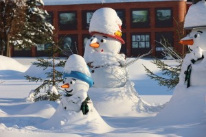 Z/S «Kurmīši» saimnieks Ivars Geiba fiksē sniegotās Krāslavas foto mirkļus - Foto