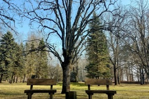 Daugavas aizsargdambis Jēkabpilī atzīts par gada labāko inženierbūvi Latvijā