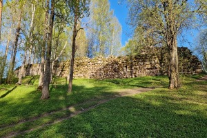 29
