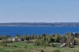 30