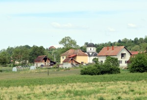 36
