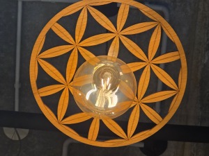 29
