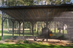 Ieskats jaunajā atpūtas vietā Jēkabpils novadā – kempingā «Zvirbulīši» - Foto