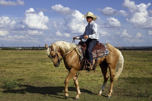 29. decembris vēsturē: Teksasa kļūst par ASV 28. štatu
