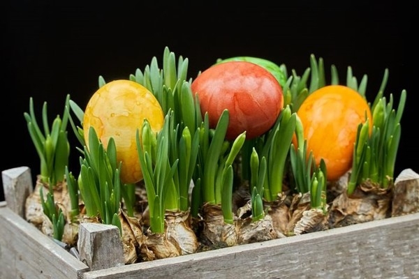 Iegūsti idejas krāšņām Lieldienu olām!