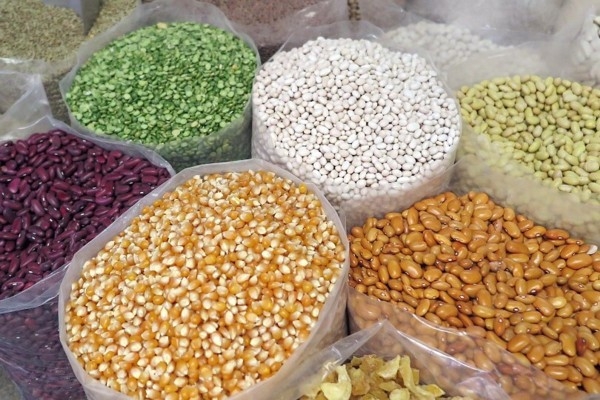 6. janvāris vēsturē: Pasaulē svin pupiņu dienu