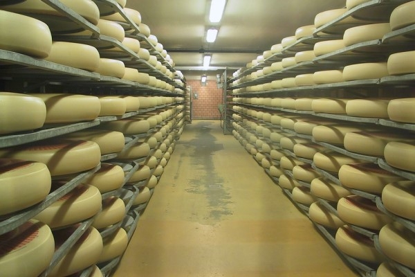 3. februāris vēsturē: Dibina pasaulē pirmo siera rūpnīcu