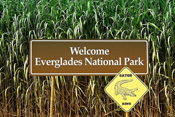 6. decembris vēsturē: tiek dibināts Evergleidas nacionālais parks Floridā