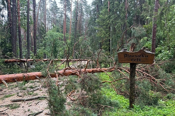 Tērvetes dabas parkam vētra atkal nodarījusi postījumus