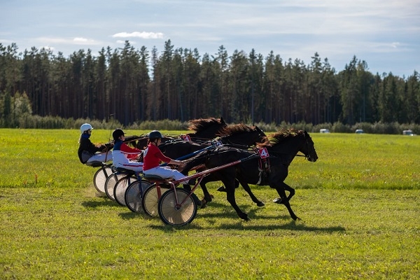 Ziemeļlatgalē norisināsies rikšotāju zirgu sacensības