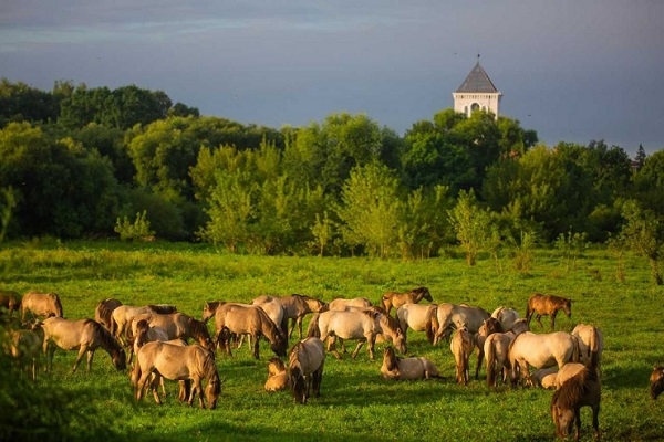 Lielupes palienes pļavas pretendē uz titulu «Zemgales zelta dukāts» 2024