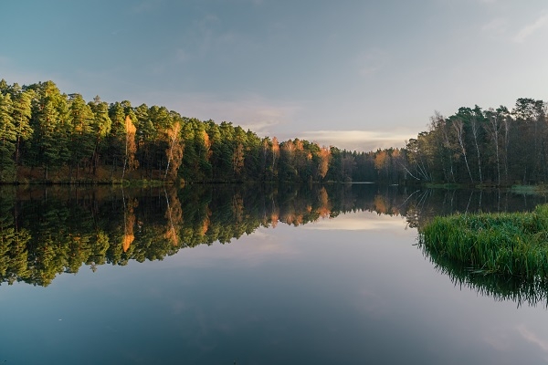 Pierīga piedāvā: Apgūstam zelta rudeni