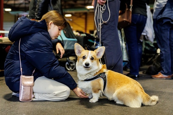 Iepazīsti dzīvnieku pasauli un pavadi jautri laiku kopā ar ģimeni izstādē «ZooExpo 2024»