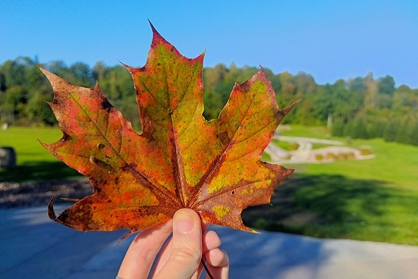 Dienvidkurzemes novads piedāvā: Rudens tūrisma spēle «Trallalā»