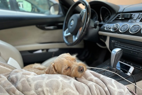 Pētījums: 85% Latvijas autovadītāju mēdz sēsties pie stūres ļoti noguruši vai miegaini