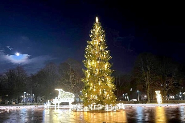 Latvijas pilsētu svētku rotas godā – egles no Latvijas valsts mežiem