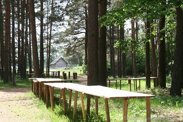 Lemj atbalstīt Etnogrāfiskā brīvdabas muzeja lauku ekspozīcijas paplašināšanu Vēveros