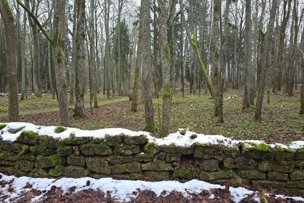 LVM veikusi plašus uzlabošanas darbus Skrīveru dendroloģiskajā parkā