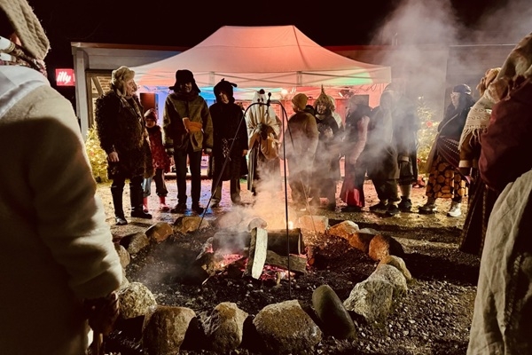 Ziemas saulgrieži Jelgavas Vecpilsētā