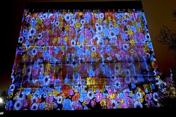 Botāniskajā dārzā trešo reizi iemirdzas gaismas festivāls «Ziemas nedarbi»