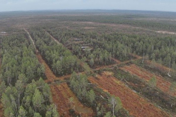 Palšu purvā LVM noslēdz pirmo darbu cēlienu
