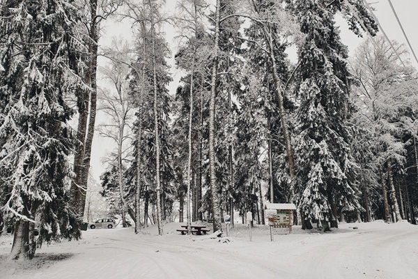 Piedzīvo ziemu Balvu novadā!