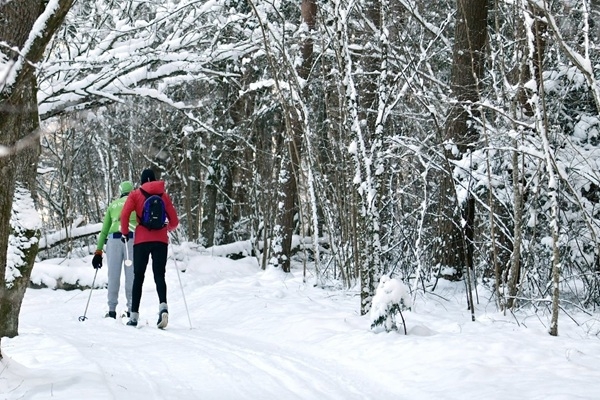 Ziema lutina – Dienvidkurzemē pieejamas distanču slēpošanas trases vairākās vietās