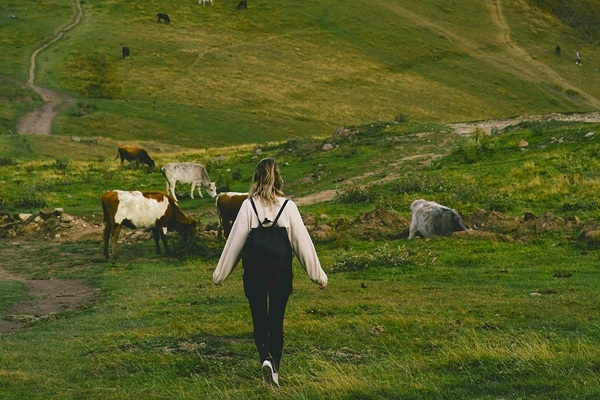 Apdrošinātājs atgādina: ceļojumu apdrošināšana Gruzijā tagad ir obligāta