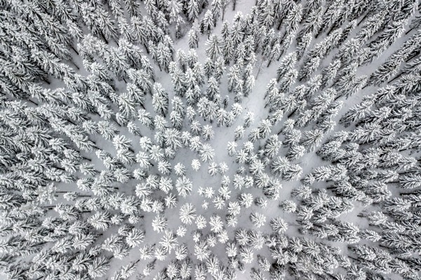 Sasniegts jauns 2. februāra aukstuma rekords Latvijā