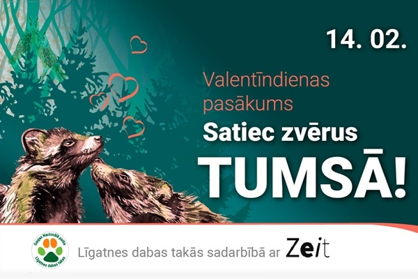 Valentīndienas vakars lukturīšu gaismā: Līgatnes dabas takas aicina uz pārgājieniem «Satiec zvērus tumsā»