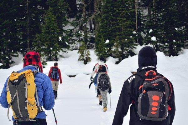 Dabas aizsardzības pārvalde aicina uz izzinošu pārgājienu “Mitrāji ir tuvāk, nekā tu domā!” Abavas senlejā