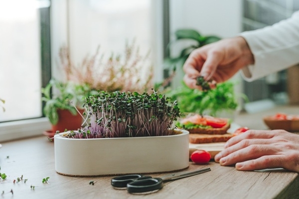 Kā pēc ziemas noguruma palīdz zaļumu spēks