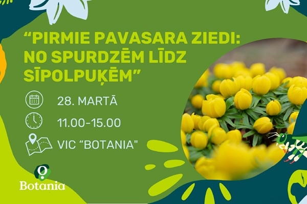 Pirmie pavasara ziedi un stāsti par tiem – Botāniskajā dārzā gaidāms īpašs pasākums 