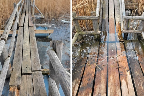 Bīstamu bojājumu dēļ līdz 1. maijam slēgta Kaņiera niedrāju laipa Ķemeru Nacionālajā parkā; uzsākti steidzami remontdarbi