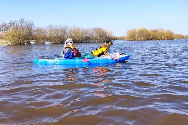 Sēlijas laivas aicina laivot Susejā un palieņu pļavās