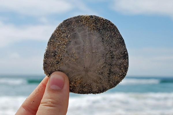 Karš Tuvajos Austrumos sadārdzina ceļojumus arī no Latvijas