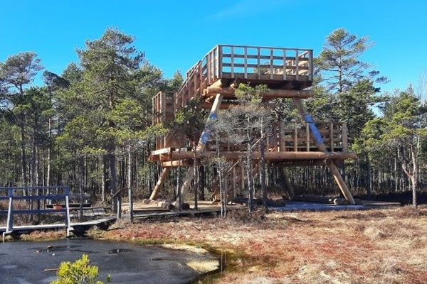 Limbažu novads: Niedrāju-Pilkas purvā uzbūvēta jauna skatu platforma