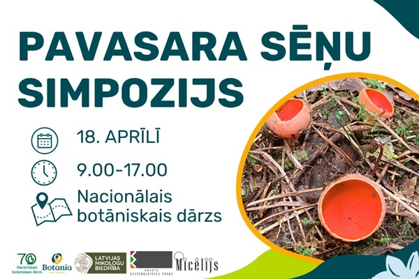 No sēņu tintes līdz nākotnes materiāliem: Nacionālajā botāniskajā dārzā notiks Pavasara sēņu simpozijs