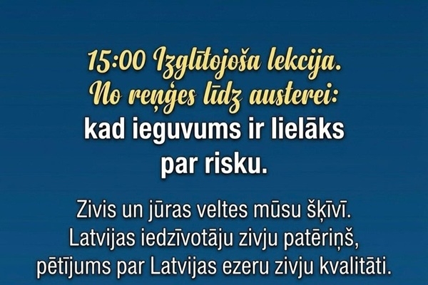 No reņģes līdz austerei: kad ieguvums lielāks par risku