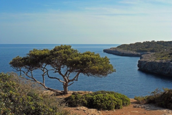 Maļorka atklāj jaunu garo pārgājienu maršrutu GR 226