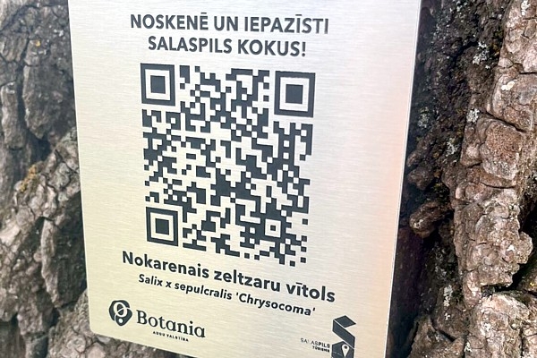 Salaspilī tapis jauns izziņas maršruts «Botania uzzināts – Salaspilī ieraudzīts»