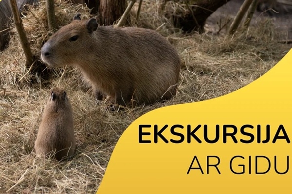 Rīgas Zoo: Pievienojies ekskursijas grupai! 