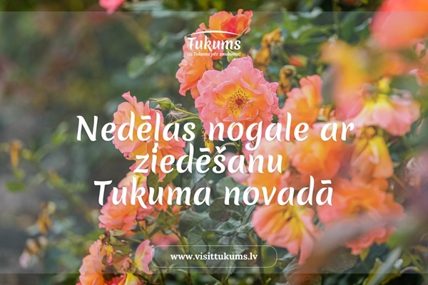 Tukuma novads aicina baudīt ziedēšanu, mūziku, dabu un vasaras svētku noskaņu